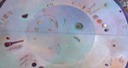 resin table top detail